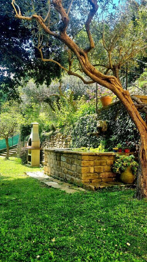 Fontecorona Bed And Breakfast Serra San Quirico Exterior foto